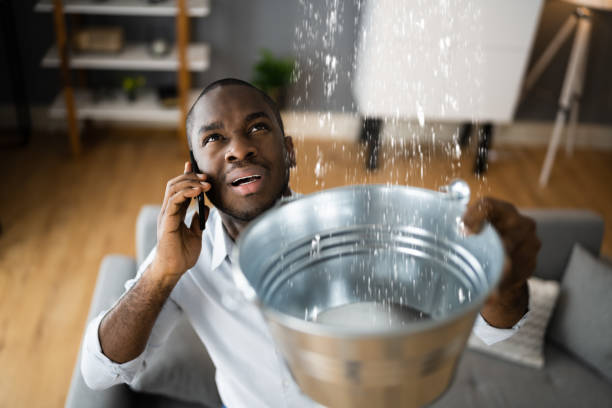 Best Flood restoration services  in Muniz, TX