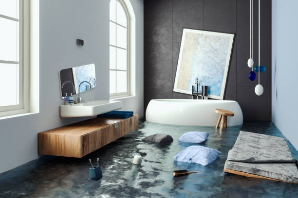 Best Water damage restoration process  in Muniz, TX