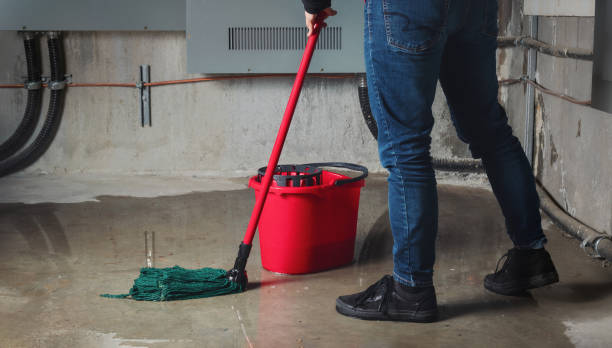 Best 24-hour water damage restoration  in Muniz, TX