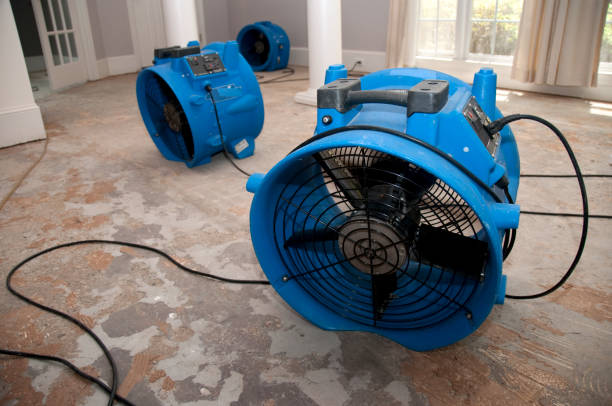 Best Water damage contractors near me  in Muniz, TX