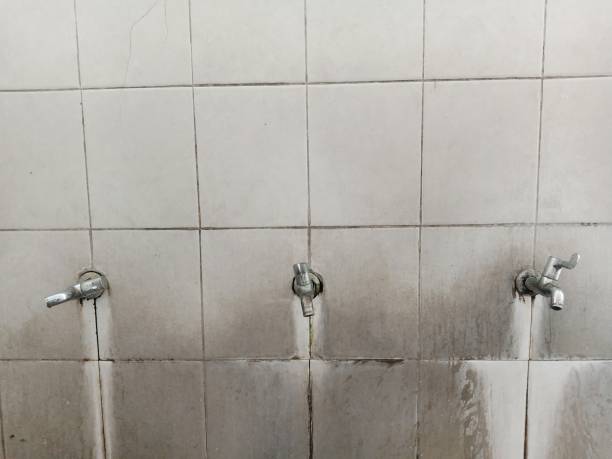 Best 24/7 water damage repair  in Muniz, TX