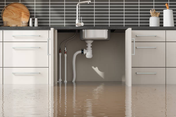 Best Ceiling water damage repair  in Muniz, TX