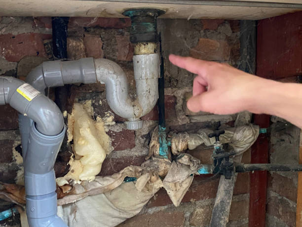 Best Basement water damage restoration  in Muniz, TX
