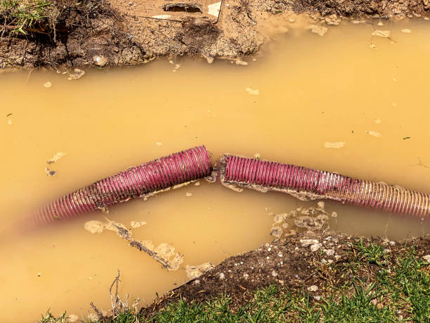 Best Emergency water damage restoration  in Muniz, TX